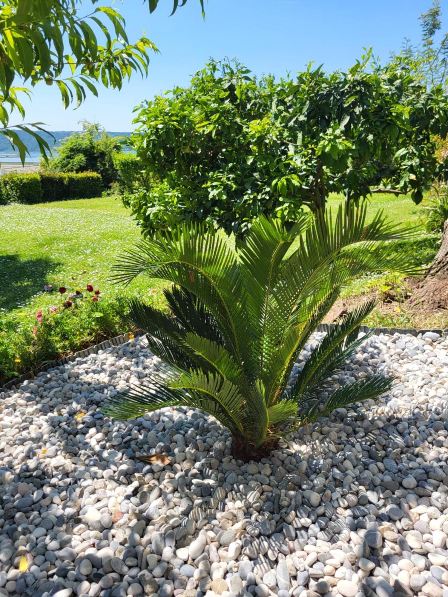 Apartment Salt Pans View Portoroz Exterior photo